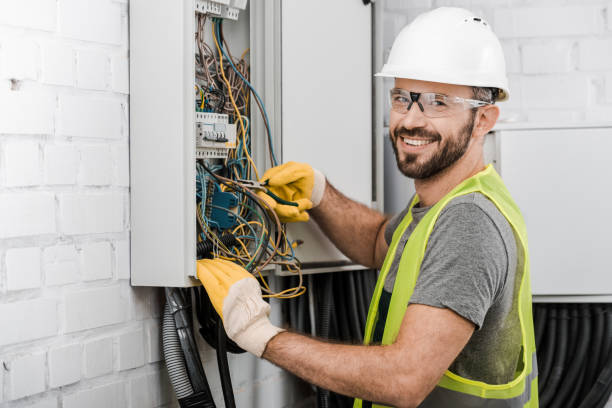 Best Electric Panel Repair  in Lake Junaluska, NC